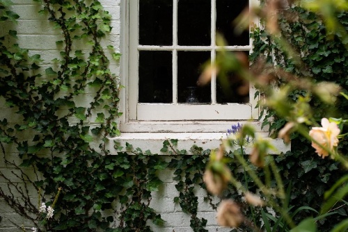 Fitzpatricks Inn image 20